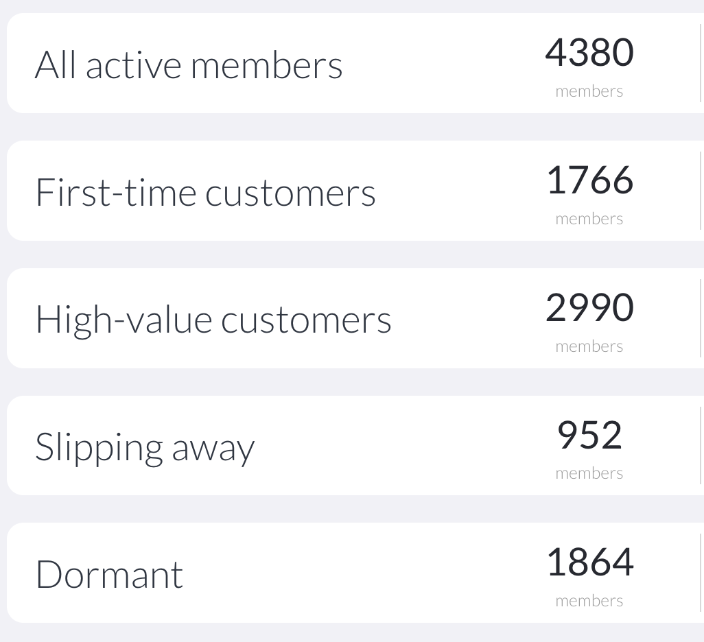 Customer segments including first-time, high-value, slipping away, and dormant